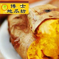 博士地瓜坊