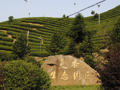 更香茗茶