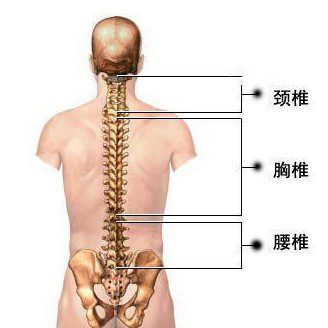 骨之道