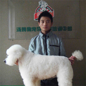 汤姆狗
