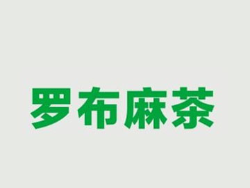 罗布麻茶叶