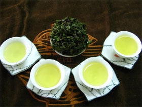 罗布麻茶叶
