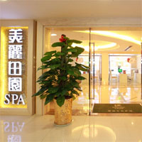 美丽田园