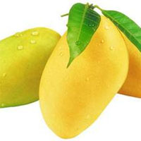 新鲜果巢