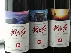 武当红