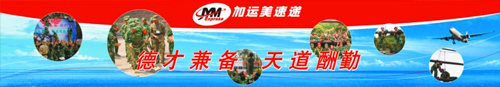 加运美快递加盟注意事项具体要了解哪些？
