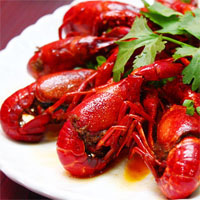 忆虾缘