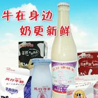 风行牛奶