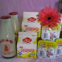 风行牛奶