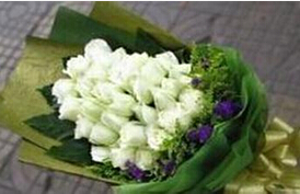 花语传情