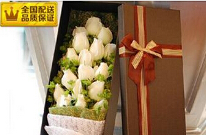 花语传情