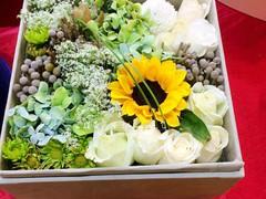 瑾萱花屋加盟 瑾萱花屋加盟