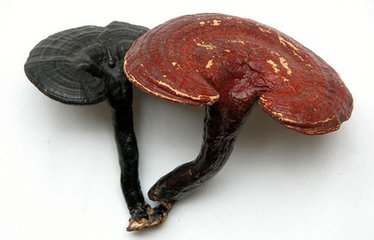 上虹大药房 上虹大药房