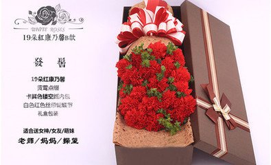 贝特猫鲜花
