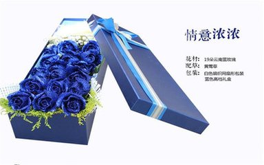 贝特猫鲜花