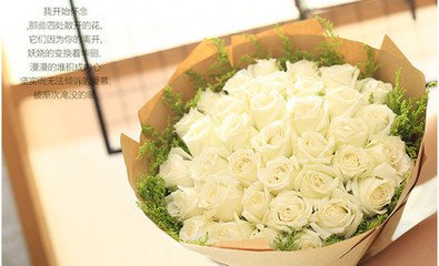 贝特猫鲜花