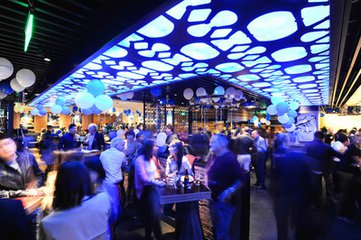blue frog 蓝蛙 blue frog 蓝蛙