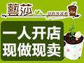 艺莎盆栽冰淇淋