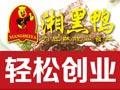 湘黑鸭