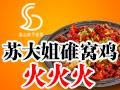 苏大姐