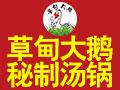 草甸大鹅