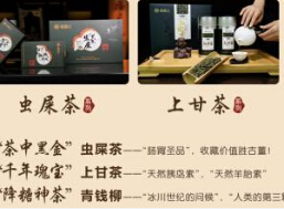 福音山珍稀养生茶