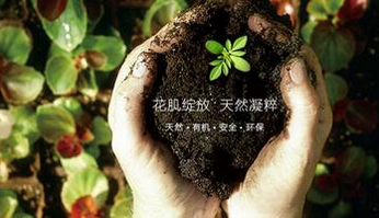 花肌粹化妆品