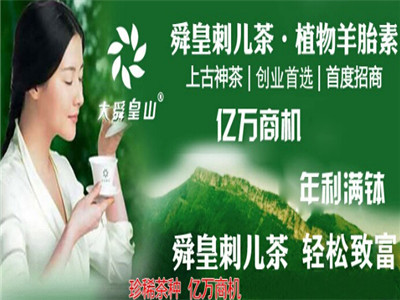 大舜皇茶叶