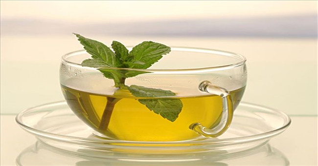 茶大爷 茶大爷