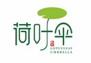 荷叶伞海量阅读