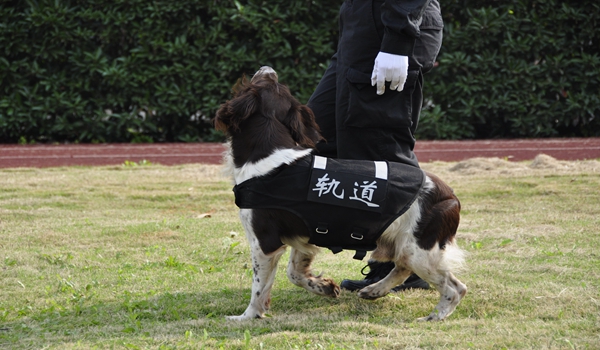 犬语者宠物训导馆加盟的联系方式是什么? 犬语者宠物训导馆加盟的联系方式是什么?