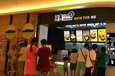 寻麦