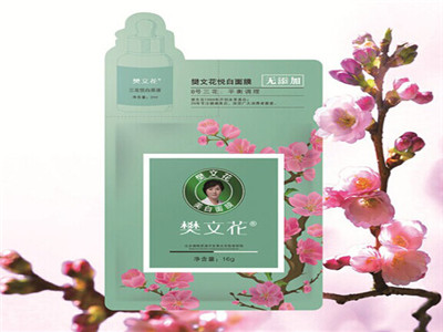 樊文花