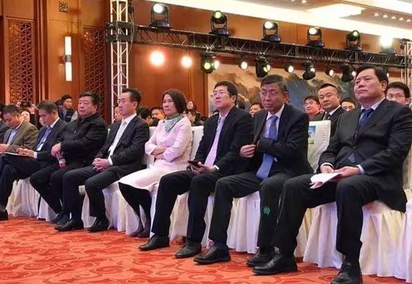 董明珠一句话王健林跟投5个亿,这次他们要联手造车了!