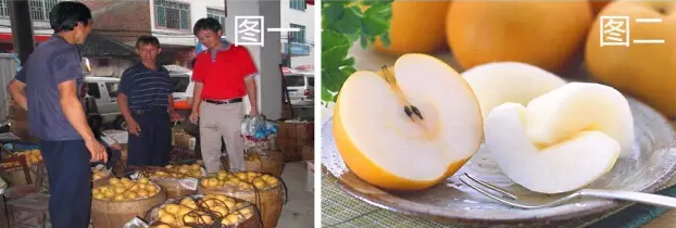 实体店没有客源怎么办?