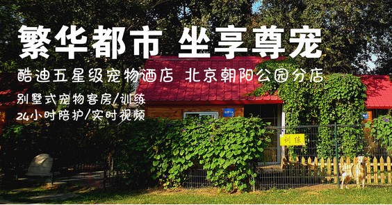 投资加盟酷迪宠物可以吗