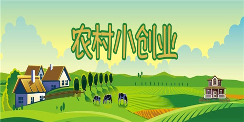 农村创业 起步易赚钱快的农村小本创业项目 农村创业 起步易赚钱快的农村小本创业项目