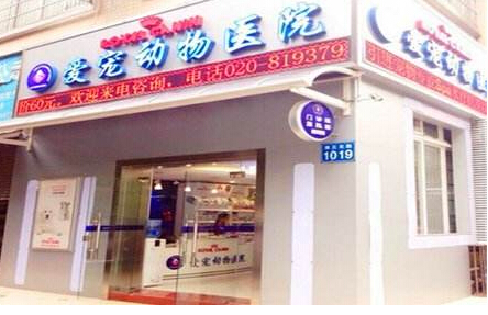 乖乖宠宠物医院加盟 乖乖宠宠物医院加盟