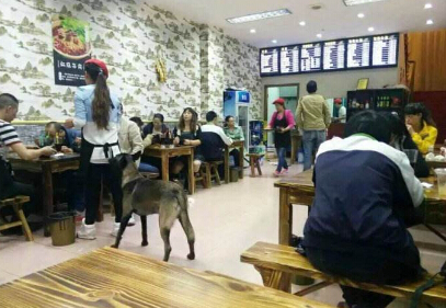 睦记堂重庆小面加盟