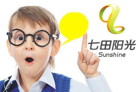七田阳光全脑教育