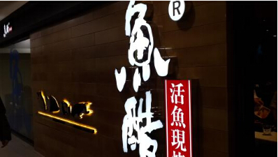 鱼酷加盟条件有哪些?了解条件轻松加盟!