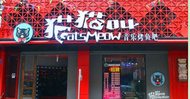 猫猫叫音乐烤鱼吧加盟费多少钱?最少投资9.8万元!